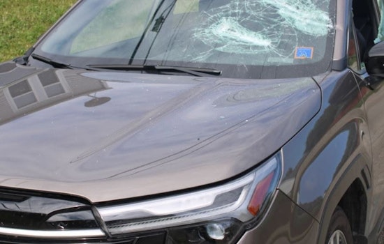 Four Suspects, Including Three Juveniles, Arrested for Attempted Carjacking in Indianapolis