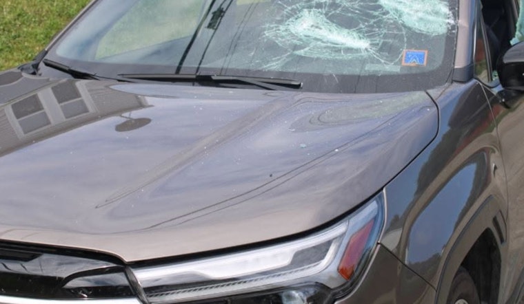 Four Suspects, Including Three Juveniles, Arrested for Attempted Carjacking in Indianapolis