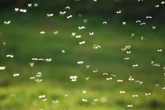 Franklin County Steps Up Mosquito Control Efforts Amid Spike in West Nile Virus Risk