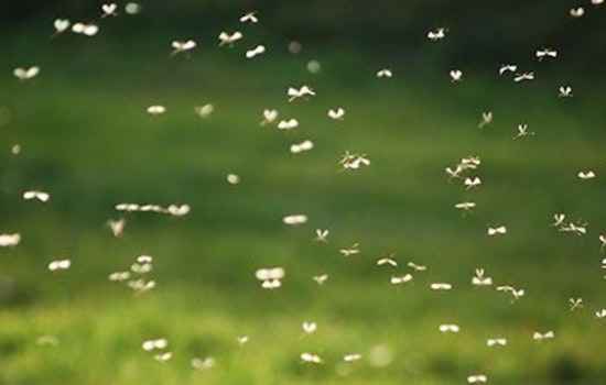 Franklin County Steps Up Mosquito Control Efforts Amid Spike in West Nile Virus Risk