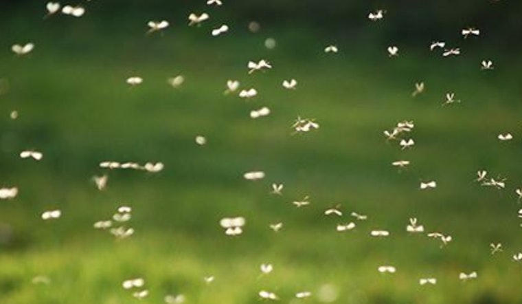 Franklin County Steps Up Mosquito Control Efforts Amid Spike in West Nile Virus Risk