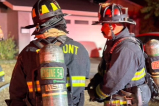 Fremont Family Displaced, Pet Cat Perishes in St. Henry Drive Kitchen Fire, Firefighters Rescue Animals