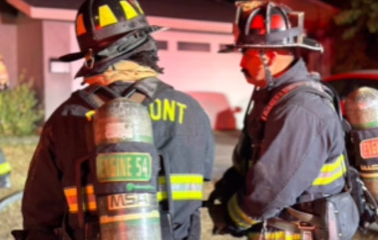 Fremont Family Displaced, Pet Cat Perishes in St. Henry Drive Kitchen Fire, Firefighters Rescue Animals