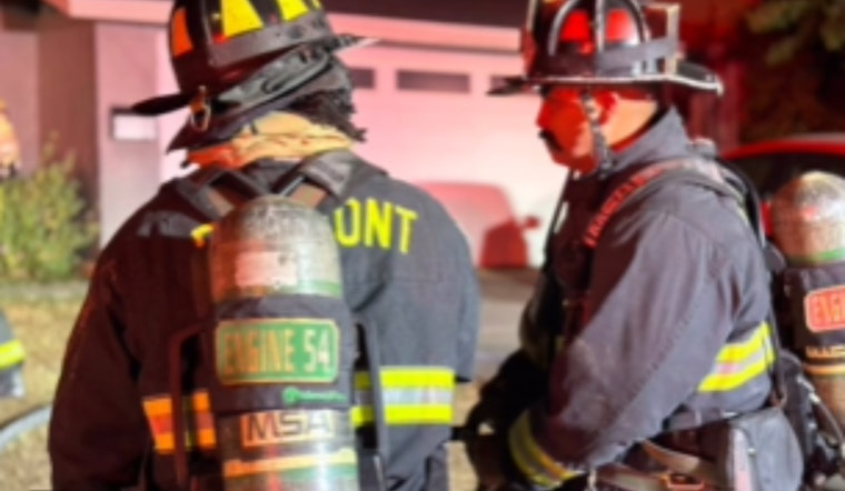 Fremont Family Displaced, Pet Cat Perishes in St. Henry Drive Kitchen Fire, Firefighters Rescue Animals