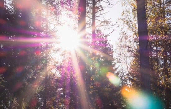 Geauga County Sheriff Urges Precaution Amid Soaring Summer Temperatures