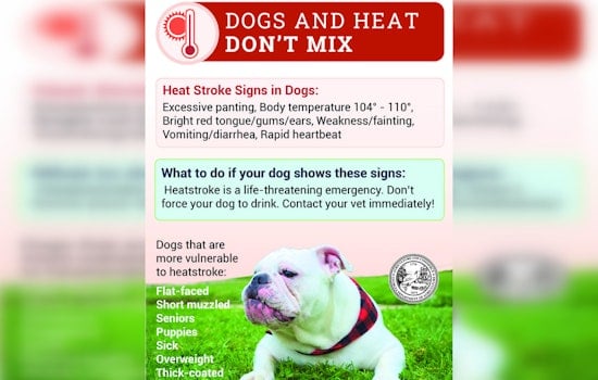 Georgia Agriculture Commissioner Tyler Harper Urges Protection for Pets and Livestock Amidst Soaring Temperatures