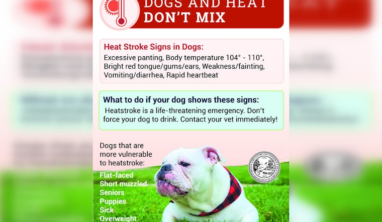 Georgia Agriculture Commissioner Tyler Harper Urges Protection for Pets and Livestock Amidst Soaring Temperatures