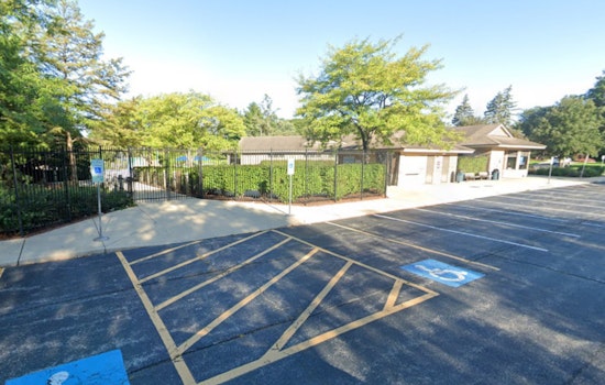 Glen Ellyn Pool Scene Spirals into Chaos: Teen Meet-Up Leads to Arrest and Early Closure