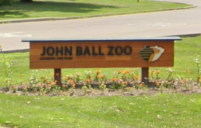 Grand Rapids' John Ball Zoo Anticipates Pygmy Hippo Calf in Conservation Triumph