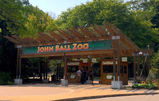 Grand Rapids Zoo and Hospital Join Forces as Custom Orthotic Brace Aids Flamingo’s Recovery