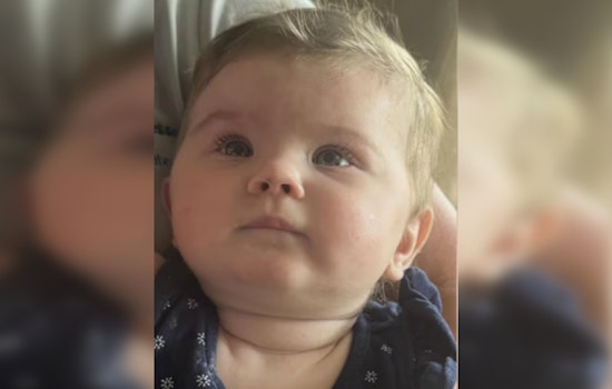 Grisly Family Tragedy, TBI, FBI Hunt for Suspects After Young Family and Infant Found Dead in Tennessee Horror