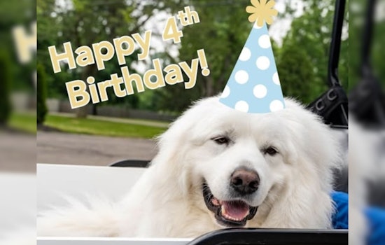 Grove City Celebrates Therapy K9 Bo's Birthday with a Call for Kindness in "#LoveLikeBo" Campaign