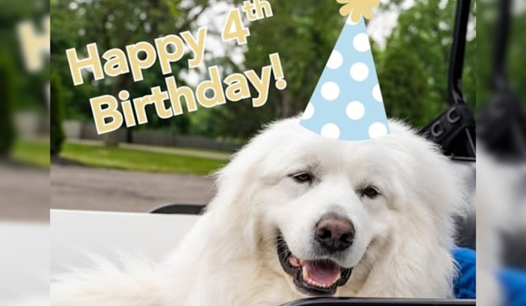 Grove City Celebrates Therapy K9 Bo's Birthday with a Call for Kindness in "#LoveLikeBo" Campaign