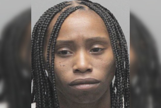 Harris County Constable's Routine Call Leads to Arrest of Suspect on Animal Cruelty Charges