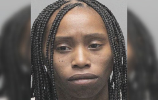 Harris County Constable's Routine Call Leads to Arrest of Suspect on Animal Cruelty Charges