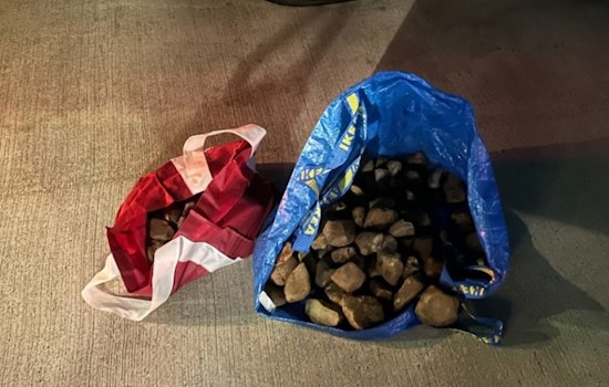 Harris County Deputies Arrest Two for Throwing Rocks Off Hardy Toll Road in Dangerous TikTok Challenge
