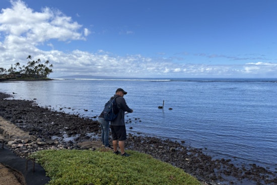 Hawaiʻi's DAGS Surveyors Expedite Land Assessments to Aid Lahaina's Post-Fire Rebuilding Efforts