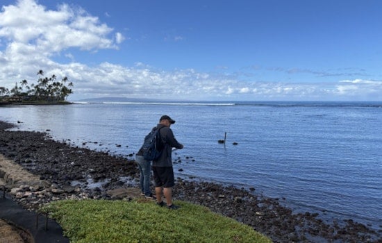 Hawaiʻi's DAGS Surveyors Expedite Land Assessments to Aid Lahaina's Post-Fire Rebuilding Efforts