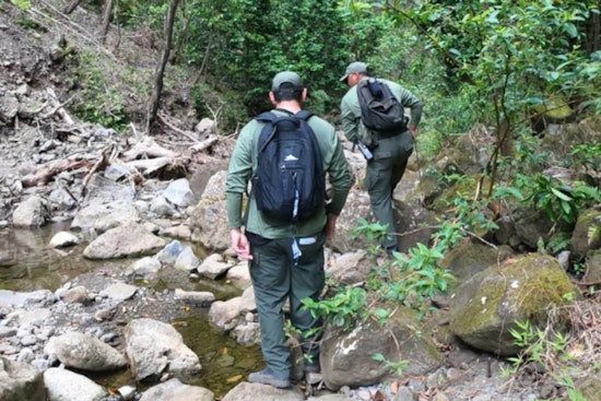 Hawaii's DOCARE Cracks Down on Trespassers Defying Sacred Falls State Park Closure