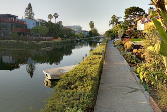 Health Alert in Venice: Mysterious Illnesses Lead to Multiple Dog Deaths Near Venice Canals