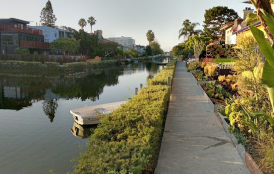 Health Alert in Venice: Mysterious Illnesses Lead to Multiple Dog Deaths Near Venice Canals