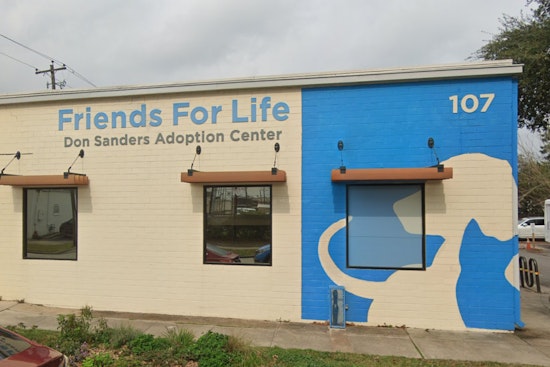Heights-Area Animal Shelter Reroutes Funds for Security After Repeated Break-Ins