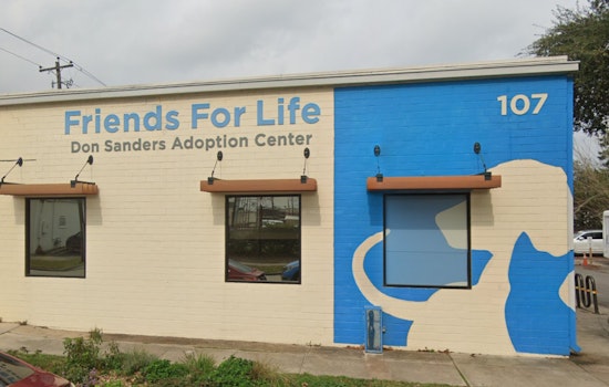 Heights-Area Animal Shelter Reroutes Funds for Security After Repeated Break-Ins