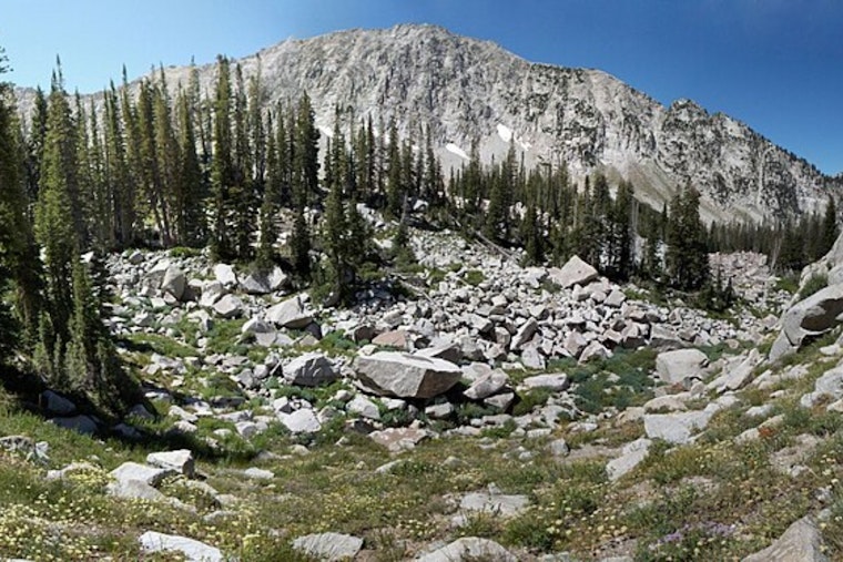 Hiker Fatally Succumbs to Rock Slide in Bell's Canyon Tragedy Near Lone Peak Wilderness