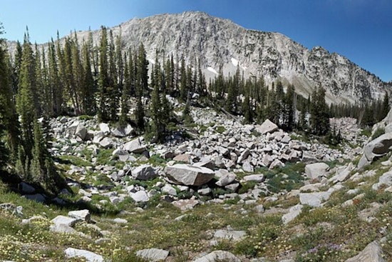 Hiker Fatally Succumbs to Rock Slide in Bell's Canyon Tragedy Near Lone Peak Wilderness