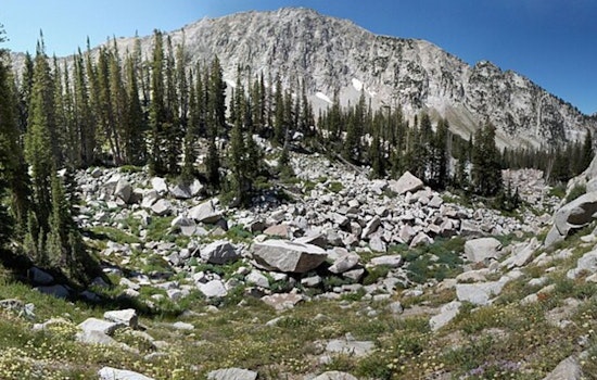 Hiker Fatally Succumbs to Rock Slide in Bell's Canyon Tragedy Near Lone Peak Wilderness