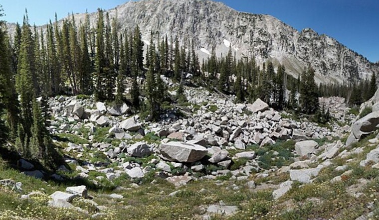 Hiker Fatally Succumbs to Rock Slide in Bell's Canyon Tragedy Near Lone Peak Wilderness