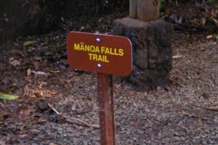 Hiker Rescued by Honolulu Fire Department After Medical Emergency on Mānoa Falls Trail