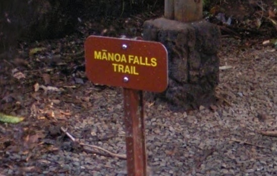 Hiker Rescued by Honolulu Fire Department After Medical Emergency on Mānoa Falls Trail