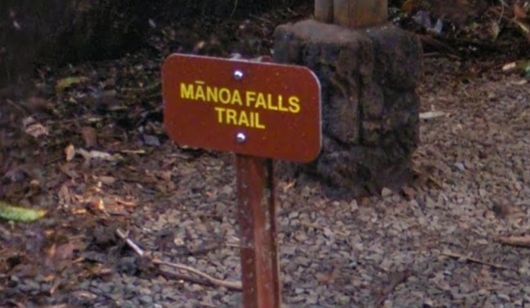 Hiker Rescued by Honolulu Fire Department After Medical Emergency on Mānoa Falls Trail