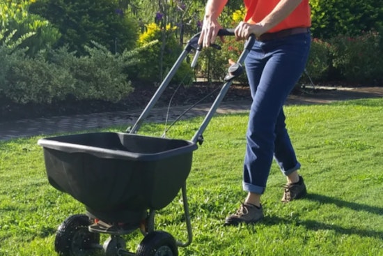 Hillsborough County Enforces Summer Fertilizer Ban to Protect Waterways from Algal Blooms