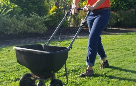 Hillsborough County Enforces Summer Fertilizer Ban to Protect Waterways from Algal Blooms