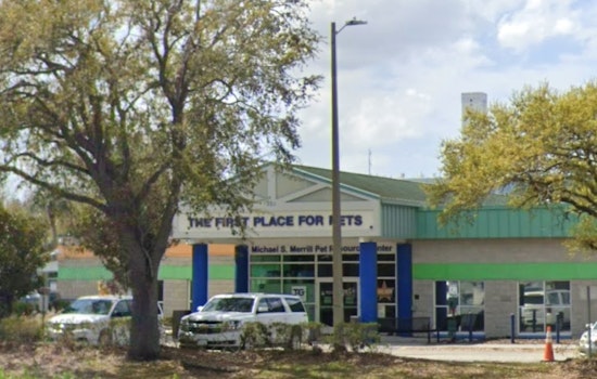 Hillsborough County Pet Resource Center Overwhelmed, Urgent Plea for Adoptions and Fosters in Tampa