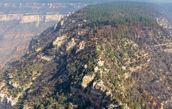 Historic Grand Canyon Lodge Devoured by Flames as Dragon Bravo Fire Ravages North Rim; Arizona Leaders Demand Answers