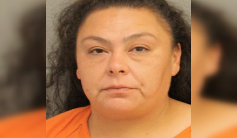 Houston Area Woman Arrested for Walmart Theft, Allegedly Possessed Methamphetamine and Fraudulent IDs