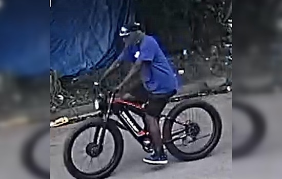 Houston Police Seek Persons of Interest in Fatal Shooting on Rosalie Street