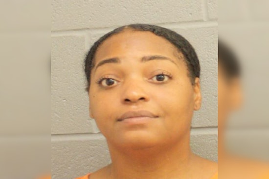 Houston Woman Charged with Animal Cruelty After Chihuahua Rescued from Hot Car in Costco Parking Lot