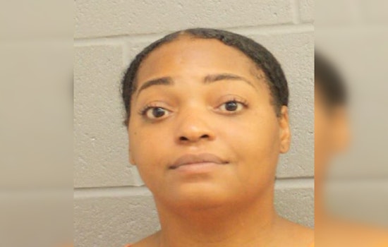 Houston Woman Charged with Animal Cruelty After Chihuahua Rescued from Hot Car in Costco Parking Lot