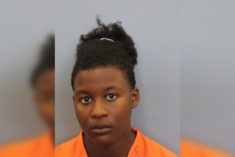 Houston Woman Charged with Murder After Retaliatory Shooting Post Bus Driver Assault