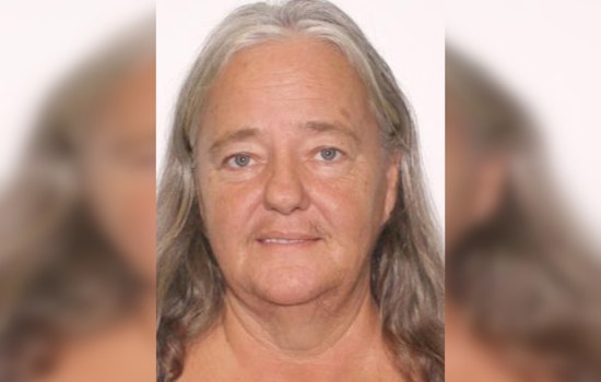 Hudson Community Rallies in Urgent Search for Missing Woman Paula Seppanen, Pasco Sheriff's Department Seeks Leads