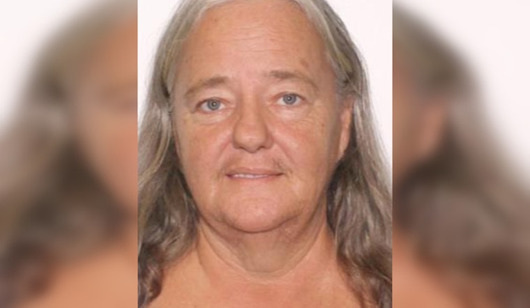 Hudson Community Rallies in Urgent Search for Missing Woman Paula Seppanen, Pasco Sheriff's Department Seeks Leads