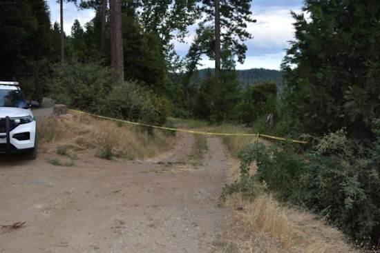 Human Remains Unearthed on Nevada City Roadside, Sparking Nevada County Sheriff's Investigation