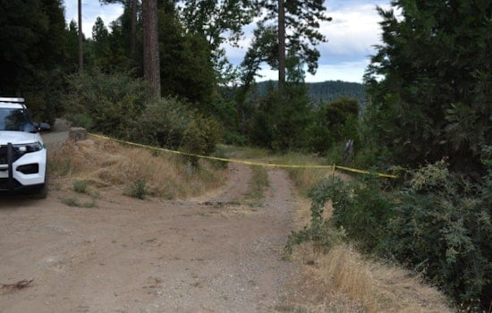 Human Remains Unearthed on Nevada City Roadside, Sparking Nevada County Sheriff's Investigation