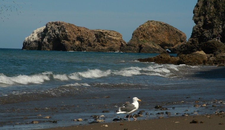 Hundreds Rescued by Lifeguards at Southern California Beaches Amid Rip Currents Over Fourth of July Weekend