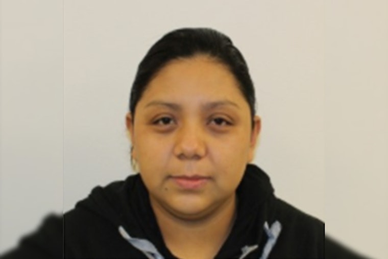 ICE Dallas Agents Arrest El Salvadoran National Suspected of Orchestrating Assassination Attempt