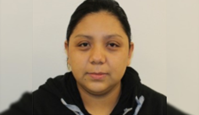 ICE Dallas Agents Arrest El Salvadoran National Suspected of Orchestrating Assassination Attempt
